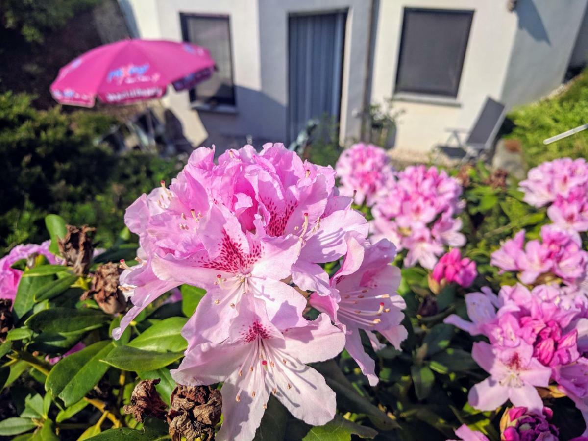 Ferienwohnung Mit Terrasse Грима Екстериор снимка